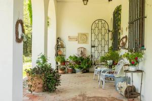 Zahrada ubytování Villa Albertina