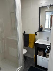 a bathroom with a shower and a toilet and a sink at La maison des lauriers in Valognes