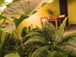 Dorp Sint Michiel的住宿－De Octopus，房间里的一束绿色植物