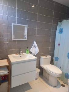 Chincha BajaThe Pacific Cottage的浴室里有洗手池、马桶和镜子。 更多23张照片