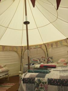 a bed with a white umbrella on top of it at Horsemans Stargazing Tent in Kingsbridge