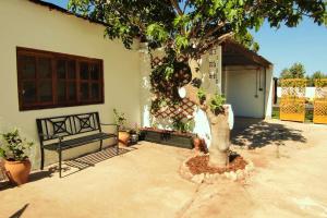 un arbre devant une maison avec un banc dans l'établissement Casa Las Colinas, à Illana