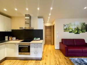 Kuchyň nebo kuchyňský kout v ubytování Apartment Waldnah