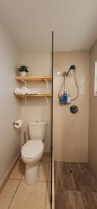 uma casa de banho com um WC branco e um chuveiro em Private Aparment Studio in the hard of Miami unit # 6 em Opa-locka