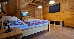 a bedroom with a bed and a flat screen tv at Roubenka Lomná in Horní Lomná