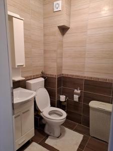 uma casa de banho com um WC e um lavatório em Apartman Park em Zvornik