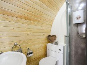 a small bathroom with a toilet and a shower at Celyn Bach - Uk37083 in Llanwddyn