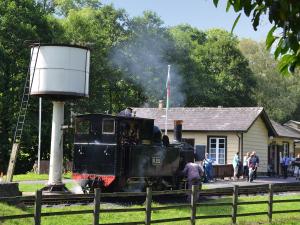 a steam engine train on the tracks near a station at Celyn Bach - Uk37083 in Llanwddyn