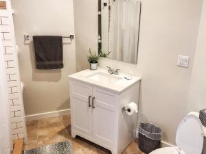 a bathroom with a white sink and a mirror at Beautiful Wooster Sq. getaway - great neighborhood in New Haven +26 photos