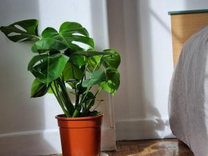 Cozy apartment 15min walk from the beach 70m2