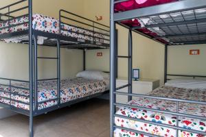 2 łóżka piętrowe w pokoju z łóżkiem w obiekcie Hostel Pisa Tower w Pizie