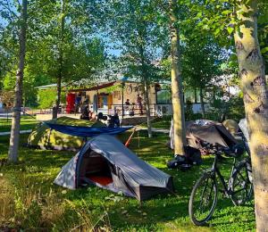 a group of tents in the grass near trees at Crossway Camping in Yeghegnadzor