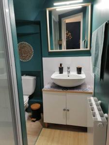 y baño con lavabo, aseo y espejo. en Aux cocons Précignéens : Studio Bleuet, en Précigné
