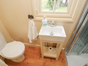 a bathroom with a sink and a toilet and a window at Le Petite Pound House in Kidderminster