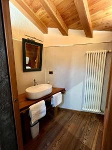 a bathroom with a sink and a mirror at La Louye su La Goumba in Pontboset