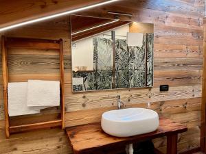 a bathroom with a sink and a mirror at La Louye su La Goumba in Pontboset