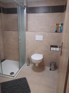 Koupelna v ubytování Apartmány Míra