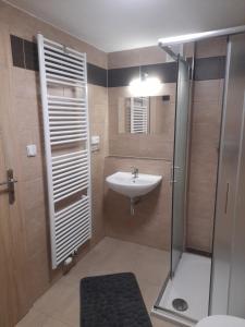 Koupelna v ubytování Apartmány Míra + 34 fotografií