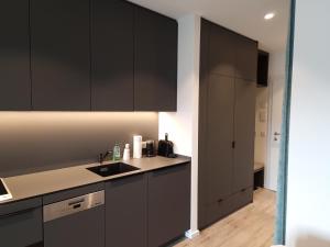 Kuchyň nebo kuchyňský kout v ubytování Wörthersee - Apartment 44