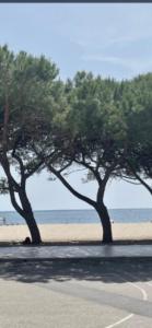 Paesaggio naturale nelle vicinanze dell'appartamento