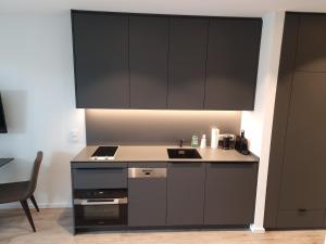Kuchyň nebo kuchyňský kout v ubytování Wörthersee - Apartment 44 + 29 fotografií