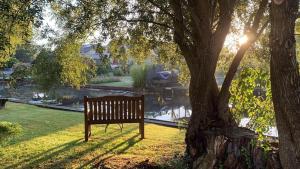 a park bench sitting under a tree next to a lake at Ferienhaus mit direktem Wasserzugang in Berlin-Köpenick in Berlin