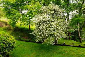 Jardín al aire libre en Hotel-Apartamento Rural Atxurra