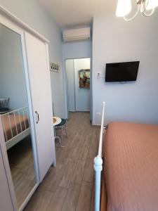 1 dormitorio con 1 cama y TV en la pared en B&B PLANO DE LACZARULO en Acciaroli