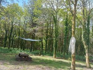 una hamaca colgada de un árbol junto a una mesa de picnic en tente nature, en Plouray