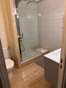 een badkamer met een douche, een toilet en een wastafel bij La Brise Marine in Cogolin