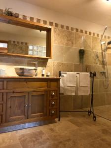 a bathroom with a sink and a shower at Chambres d'Hôtes La Chrysalide in Loriol-du-Comtat