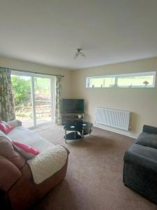 a living room with a bed and a couch and a tv at Y Nyth in Newtown