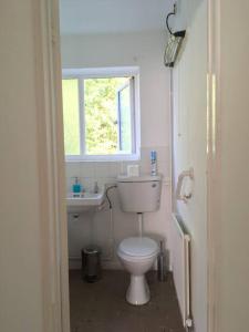 La salle de bains est pourvue de toilettes, d'un lavabo et d'une fenêtre. dans l'établissement Entire 2 bed apartment - Up to 4 guest - 10 min from station and town centre, à Wokingham