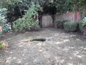 a garden with a wooden shed in the yard at Entire 2 bed apartment - Up to 4 guest - 10 min from station & town centre in Wokingham