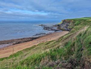 a view of a beach with people on the sand at The Annex Brook House Farm, Abbey views, Yorkshire Coast Holiday Lets in Whitby