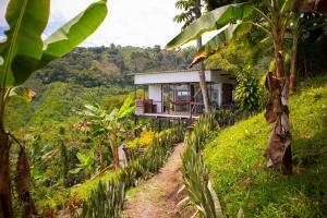 a house on a hill in the middle of a forest at Cabaña Tierra Verde eje Cafetero in Manizales