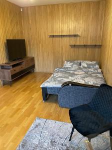 a bedroom with a bed and a tv and a chair at OAK apartment in Vilnius