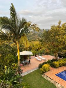 a patio with a palm tree and a table and chairs at Cabaña Tierra Verde eje Cafetero in Manizales