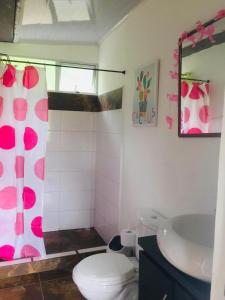 bagno con servizi igienici e lavandino di Cabaña Tierra Verde eje Cafetero a Manizales