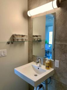 W łazience znajduje się biała umywalka i lustro. w obiekcie Modern Capitol Hill Studio Steps to Volunteer Park w mieście Seattle