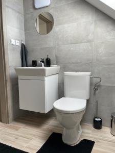 Koupelna v ubytování Apartmány Turkovna