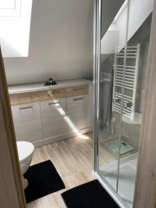 Koupelna v ubytování Apartmány Turkovna