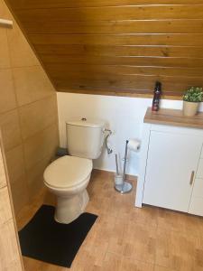 Koupelna v ubytování Apartmány Turkovna