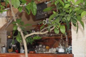 a potted plant sitting in front of a bar at Best Location Old Town Budva Rooms in Budva