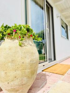 a large vase filled with flowers in front of a door at Plemmirio Apartments in Siracusa