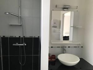 y baño con lavabo y ducha con espejo. en Appartement avec jardin privatif en Lorient