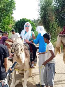 a woman on a camel pulling a crowd of people at Moon Valley Apartments in Luxor
