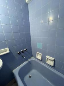 baño azul con bañera y aseo en Bariloche Natural en San Carlos de Bariloche