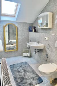 a bathroom with a sink and a toilet and a mirror at Gemütliche, zentrale & schöne Loft Wohnung in Bamberg