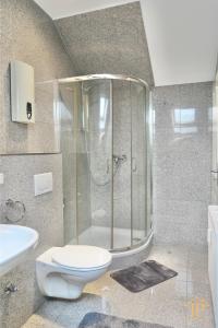 a bathroom with a shower and a toilet and a sink at Gemütliche, zentrale & schöne Loft Wohnung in Bamberg